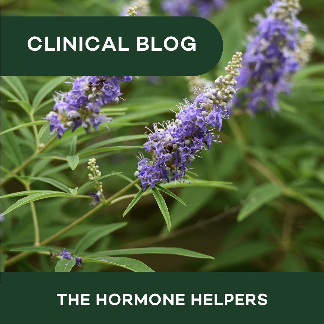 The Hormone Helpers Blog Website Tile